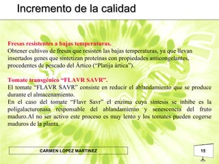 15CARMEN LOPEZ MARTINEZ
Incremento de la calidadIncremento de la calidad
Fresas resistentes a bajas temperaturas.
Obtener cultivos de fresas que resisten las bajas temperaturas, ya que llevan
insertados genes que sintetizan proteínas con propiedades anticongelantes,
procedentes de pescado del Ártico (“Platija ártica”).
Tomate transgénico “FLAVR SAVR”.
El tomate “FLAVR SAVR” consiste en reducir el ablandamiento que se produce
durante el almacenamiento.
En el caso del tomate “Flavr Savr” el enzima cuya síntesis se inhibe es la
poligalacturonasa responsable del ablandamiento y senescencia del fruto
maduro.Al no ser activo este proceso es muy lento y los tomates pueden cogerse
maduros de la planta.
 