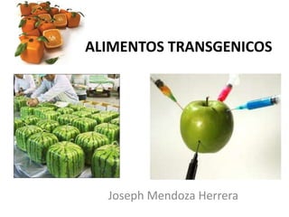 ALIMENTOS TRANSGENICOS
Joseph Mendoza Herrera
 