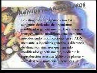Los alimentos transgénicos son los
alimentos derivados de organismos
modificados genéticamente. Los alimentos
transgénicos se modifican genéticamente
introduciendo modificaciones en su ADN
mediante la ingeniería genética, a diferencia
de alimentos similares que han sido
modificados genéticamente, mediante la
reproducción selectiva (cultivo de plantas y
animales) o de mutaciones genéticas.
 