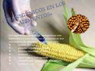 Los ingredientes (sustancias transgénicas) más
habituales y a tener en cuenta al momento de leer
una etiqueta de alimentos son los siguientes:
 lecitina de soja
 proteína vegetal texturizada
 proteína texturada de soja
 dextrosa
 aceite vegetal hidrogenado
 emulsificante - proteína de soja aislada,
 harina de soja
 