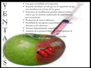  Una gran versatilidad en la ingeniería
 Se puede introducir un solo gen en el organismo sin que
esto interfiera con el resto de los genes
 El proceso de modificación genética demora mucho
menos que las técnicas tradicionales de mejoramiento
por cruzamiento
 Producción de nuevos alimentos
 Posibilidad de incorporar características nutricionales
distintas en los alimentos
 Vacunas indiscriminadas comestibles
 Aumento de la productividad y la calidad aparente de
los cultivos
 Resistencia a plagas y enfermedades conocidas
 