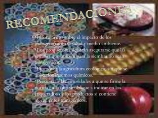 *Informarnos sobre el impacto de los
transgénicos en la salud y medio ambiente.
*Los productores deberán asegurarse que las
semillas que utilizan para la siembra no sean
transgénicos.
*Promover la agricultura ecológica, sin que se
utilice los insumos químicos.
*Presionar a las autoridades a que se firme la
norma en la que se obligue a indicar en los
etiquetados de los productos si contiene
ingredientes transgénicos.
 