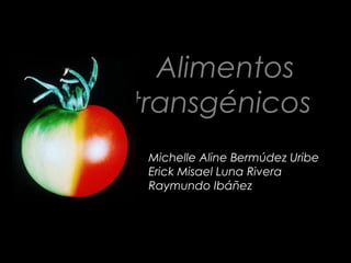 Alimentos
transgénicos
Michelle Aline Bermúdez Uribe
Erick Misael Luna Rivera
Raymundo Ibáñez
 