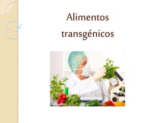 Alimentos 
transgénicos 
 