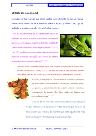  
UCV-SIS EXAMEN FINAL- ALIMENTOS TRANSGENICOS
 
Utilizado por la comunidad
La mejora de las especies que serán usadas como ​alimento ha sido un motivo
común en la historia de la Humanidad. Entre el 12.000 y 4.000 a. de C. ya se
realizaba una mejora por ​selección artificial​de plantas.
Tras el descubrimiento de la ​reproducción sexual en
vegetales, se realizó el primer cruzamiento intergenérico
(es decir, entre especies de ​géneros distintos) en ​1876​. En
1909 se efectuó la primera fusión de protoplastos​[​cita requerida​]​
,
y en ​1927 se obtuvieron mutantes de mayor productividad
mediante irradiación con ​rayos X de ​semillas​. En ​1983 se
produjo la primera planta transgénica​[​cita requerida 
1. En estas fechas, unos biotecnólogos logran aislar un gen e introducirlo en un genoma de la
bacteria ​Escherichia coli ( E.Coli )​[​cita requerida​]​
. Tres años más tarde, en 1986, ​Monsanto​, empresa
multinacional dedicada a la biotecnología, crea la primera planta genéticamente modificada.
Se trataba de una planta de tabaco a la que se añadió a su genoma un
gen de resistencia para el antibiótico Kanamicina. Finalmente, en ​1994
se aprueba la comercialización del primer alimento modificado
genéticamente, los tomates Flavr Savr, creados por Calgene, una
empresa biotecnóloga​[​cita requerida​]​
.
A estos se les introdujo un gen antisentido con respecto
al gen normal de la poligalacturonasa, enzima que induce a la
maduración del tomate, de manera que este aguantaría más
tiempo maduro y tendría una mayor resistencia.
 
ALIMENTOS TRANSGÉNICOS                    FIORELLA LOPEZ LOPEZ 
 