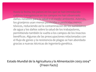  Hasta la fecha, los países en los que se han introducido
cultivos transgénicos en los campos no han observado
daños notables para la salud o el medio ambiente. Además,
los granjeros usan menos pesticidas o pesticidas menos
tóxicos, reduciendo así la contaminación de los suministros
de agua y los daños sobre la salud de los trabajadores,
permitiendo también la vuelta a los campos de los insectos
benéficos. Algunas de las preocupaciones relacionadas con
el flujo de genes y la resistencia de plagas se han abordado
gracias a nuevas técnicas de ingeniería genética.
Resumen de las conclusiones de "El
Estado Mundial de la Agricultura y la Alimentación 2003-2004"
(Freen Facts)
 