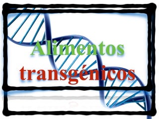 Alimentos
transgénicos
 