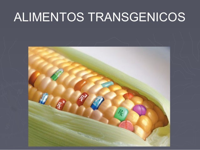 alimentos transgenicos alimentos transgenicos conf alimentos transgenicos alimentos transgenicos conf