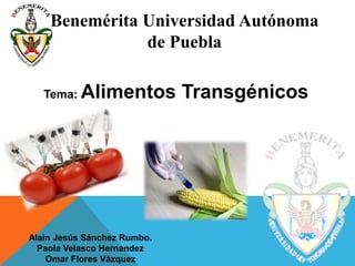 Benemérita Universidad Autónoma
de Puebla
Tema: Alimentos Transgénicos
Alain Jesús Sánchez Rumbo.
Paola Velasco Hernandez
Omar Flores Vázquez
 