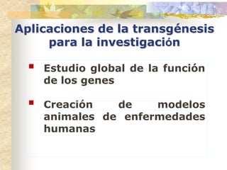 Aplicaciones de la transgénesis
     para la investigación

     Estudio global de la función
      de los genes

     Creación   de    modelos
      animales de enfermedades
      humanas
 
