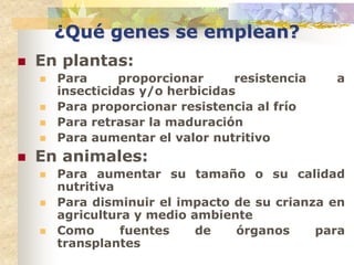 ¿Qué genes se emplean?
   En plantas:
       Para      proporcionar     resistencia   a
        insecticidas y/o herbicidas
       Para proporcionar resistencia al frío
       Para retrasar la maduración
       Para aumentar el valor nutritivo
   En animales:
       Para aumentar su tamaño o su calidad
        nutritiva
       Para disminuir el impacto de su crianza en
        agricultura y medio ambiente
       Como      fuentes    de   órganos     para
        transplantes
 