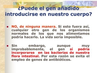 ¿Puede el gen añadido
introducirse en nuestro cuerpo?

   NO, de ninguna manera. Si esto fuera así,
    cualquier otro gen de los organismos
    normales de los que nos alimentamos
    podría hacerlo. La vida sería imposible.

   Sin       embargo,        aunque       muy
    improbablemente,      el   gen   sí  podría
    incorporarse en las bacterias de nuestra
    flora intestinal. Por esta razón se evita el
    empleo de genes de antibióticos.
 