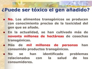 ¿Puede ser tóxico el gen añadido?
   No. Los alimentos transgénicos se producen
    con conocimiento preciso de la toxicidad del
    gen que se añade.
   En la actualidad, se han cultivado más de
    noventa millones de hectáreas de cosechas
    transgénicas.
   Más de mil millones de personas            han
    consumido productos transgénicos.
   No     se    han    identificado     problemas
    relacionados    con    la    salud    de    los
    consumidores.
 