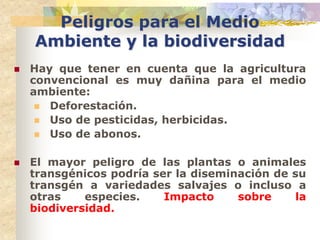 Peligros para el Medio
    Ambiente y la biodiversidad
   Hay que tener en cuenta que la agricultura
    convencional es muy dañina para el medio
    ambiente:
      Deforestación.
      Uso de pesticidas, herbicidas.
      Uso de abonos.


   El mayor peligro de las plantas o animales
    transgénicos podría ser la diseminación de su
    transgén a variedades salvajes o incluso a
    otras    especies.    Impacto     sobre     la
    biodiversidad.
 