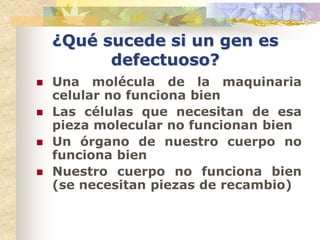 ¿Qué sucede si un gen es
          defectuoso?
   Una molécula de la maquinaria
    celular no funciona bien
   Las células que necesitan de esa
    pieza molecular no funcionan bien
   Un órgano de nuestro cuerpo no
    funciona bien
   Nuestro cuerpo no funciona bien
    (se necesitan piezas de recambio)
 