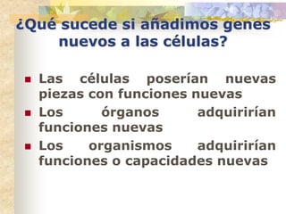 ¿Qué sucede si añadimos genes
    nuevos a las células?

   Las células poserían nuevas
    piezas con funciones nuevas
   Los      órganos      adquirirían
    funciones nuevas
   Los    organismos     adquirirían
    funciones o capacidades nuevas
 