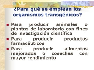 ¿Para qué se emplean los
    organismos transgénicos?

   Para   producir     animales   o
    plantas de laboratorio con fines
    de investigación científica
   Para     producir      productos
    farmacéuticos
   Para      producir     alimentos
    mejorados    o   cosechas    con
    mayor rendimiento
 