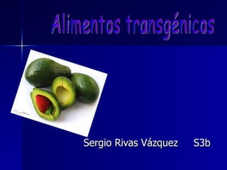 Sergio Rivas Vázquez  S3b Alimentos transgénicos 