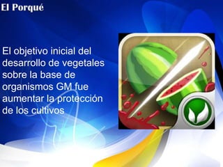 El objetivo inicial del
desarrollo de vegetales
sobre la base de
organismos GM fue
aumentar la protección
de los cultivos
 