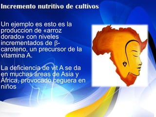 Un ejemplo es esto es la
produccion de «arroz
dorado» con niveles
incrementados de β-
caroteno, un precursor de la
vitamina A.
La deficiencia de vit A se da
en muchas áreas de Asia y
África, provocado ceguera en
niños
 