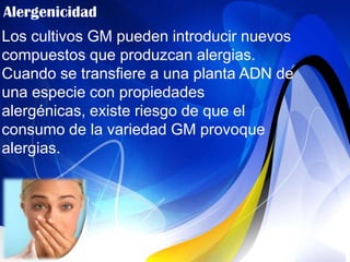 Alergenicidad
Los cultivos GM pueden introducir nuevos
compuestos que produzcan alergias.
Cuando se transfiere a una planta ADN de
una especie con propiedades
alergénicas, existe riesgo de que el
consumo de la variedad GM provoque
alergias.
 