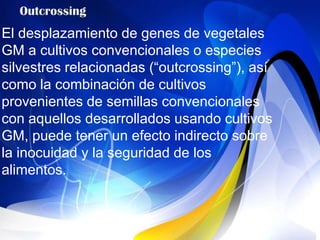 El desplazamiento de genes de vegetales
GM a cultivos convencionales o especies
silvestres relacionadas (“outcrossing”), así
como la combinación de cultivos
provenientes de semillas convencionales
con aquellos desarrollados usando cultivos
GM, puede tener un efecto indirecto sobre
la inocuidad y la seguridad de los
alimentos.
 