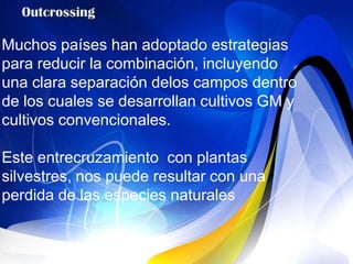 Muchos países han adoptado estrategias
para reducir la combinación, incluyendo
una clara separación delos campos dentro
de los cuales se desarrollan cultivos GM y
cultivos convencionales.

Este entrecruzamiento con plantas
silvestres, nos puede resultar con una
perdida de las especies naturales
 