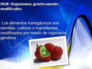 Los alimentos transgénicos son
semillas, cultivos o ingredientes
modificados por medio de ingeniería
genética
 