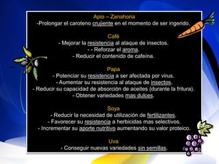 Apio – Zanahoria
 -Prolongar el caroteno crujiente en el momento de ser ingerido.

                                Café
          - Mejorar la resistencia al ataque de insectos.
                       - - Reforzar el aroma.
                - Reducir el contenido de cafeína.

                               Papa
        - Potenciar su resistencia a ser afectada por virus.
          - Aumentar su resistencia al ataque de insectos.
- Reducir su capacidad de absorción de aceites (durante la fritura).
                - Obtener variedades mas dulces.

                                Soya
         - Reducir la necesidad de utilización de fertilizantes.
       - Favorecer su resistencia a herbicidas mas selectivos.
  - Incrementar su aporte nutritivo aumentando su valor proteico.

                             Uva
           - Conseguir nuevas variedades sin semillas.
 