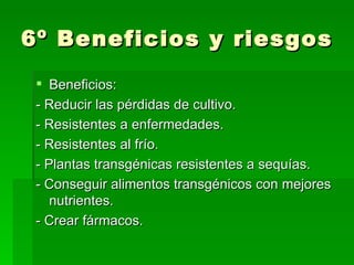 6º Beneficios y riesgos
  Beneficios:
 - Reducir las pérdidas de cultivo.
 - Resistentes a enfermedades.
 - Resistentes al frío.
 - Plantas transgénicas resistentes a sequías.
 - Conseguir alimentos transgénicos con mejores
    nutrientes.
 - Crear fármacos.
 
