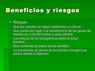 Beneficios y riesgos
  Riesgos:
 - Que los insectos se hagan resistentes a cultivos .
 - Que puede dar lugar a la transferencia de los genes de
   resistencia a los herbicidas a otras plantas.
 - Los efectos de los transgénicos sobre la salud
   humana.
 - Que aumentae el precio de las semillas .
 - La transmisión de genes de las plantas transgénicas
   podría afectar a especies.
 
