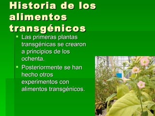 Historia de los
alimentos
transgénicos
  Las primeras plantas
   transgénicas se crearon
   a principios de los
   ochenta.
  Posteriormente se han
   hecho otros
   experimentos con
   alimentos transgénicos.
 
