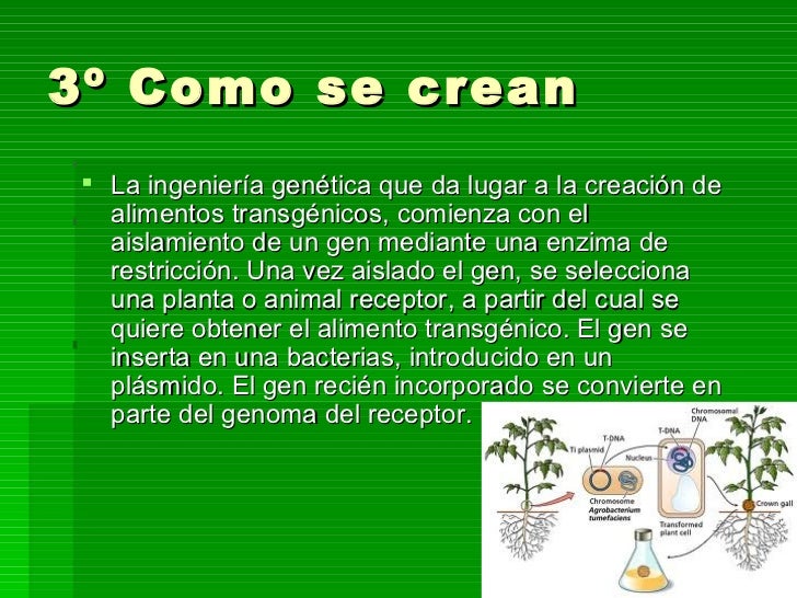 Que anestesia al alcoholismo