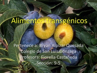 Alimentos transgénicos

Pertenece a: Bryan Alpízar Quesada
   Colegio de San Luis Gonzaga
   Profesora: Fiorella Castañeda
           Sección: 9-5
 