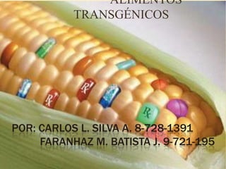 POR: CARLOS L. SILVA A. 8-728-1391
FARANHAZ M. BATISTA J. 9-721-195
ALIMENTOS
TRANSGÉNICOS
 