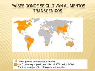 PAÍSES DONDE SE CULTIVAN ALIMENTOS
TRANSGÉNICOS.
Otros países productores de OGM.
Los 5 países que producen más del 95% de los OGM.
Puntos naranjas sólo cultivos experimentales.
 