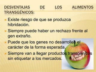 DESVENTAJAS DE LOS ALIMENTOS
TRANSGÉNICOS:
 Existe riesgo de que se produzca
hibridación.
 Siempre puede haber un rechazo frente al
gen extraño.
 Puede que los genes no desarrollen el
carácter de la forma esperada.
 Siempre van a llegar productos transgénicos
sin etiquetar a los mercados.
 