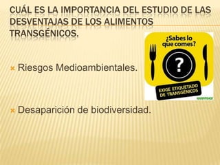 CUÁL ES LA IMPORTANCIA DEL ESTUDIO DE LAS
DESVENTAJAS DE LOS ALIMENTOS
TRANSGÉNICOS.
 Riesgos Medioambientales.
 Desaparición de biodiversidad.
 