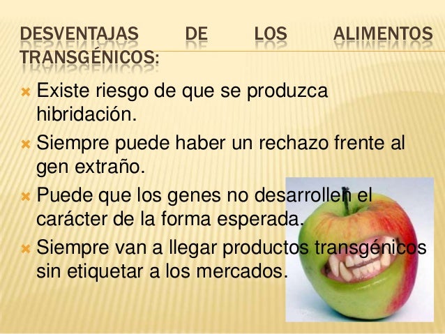 Alimentos transgénicos