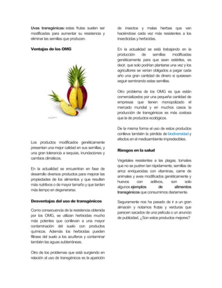 Uvas transgénicas: estas frutas suelen ser
modificadas para aumentar su resistencia y
eliminar las semillas que producen.
Ventajas de los OMG
Los productos modificados genéticamente
presentan una mejor calidad en sus semillas, y
una gran tolerancia a sequías, inundaciones y
cambios climáticos.
En la actualidad se encuentran en fase de
desarrollo diversos productos para mejorar las
propiedades de los alimentos y que resulten
más nutritivos o de mayor tamaño y que tarden
más tiempo en degenerarse.
Desventajas del uso de transgénicos
Como consecuencia de la resistencia obtenida
por los OMG, se utilizan herbicidas mucho
más potentes que conllevan a una mayor
contaminación del suelo con productos
químicos. Además los herbicidas pueden
filtrase del suelo a los acuíferos y contaminar
también las aguas subterráneas.
Otro de los problemas que está surgiendo en
relación al uso de transgénicos es la aparición
de insectos y malas hierbas que van
haciéndose cada vez más resistentes a los
insecticidas y herbicidas.
En la actualidad se está trabajando en la
producción de semillas modificadas
genéticamente para que sean estériles, es
decir, que solo podrían plantarse una vez y los
agricultores se verían obligados a pagar cada
año una gran cantidad de dinero si quisiesen
seguir sembrando estas semillas.
Otro problema de los OMG es que están
comercializados por una pequeña cantidad de
empresas que tienen monopolizado el
mercado mundial y en muchos casos la
producción de transgénicos es más costosa
que la de productos ecológicos.
De la misma forma el uso de estos productos
conlleva también la pérdida de biodiversidad y
efectos en el medioambiente impredecibles.
Riesgos en la salud
Vegetales resistentes a las plagas, tomates
que no se pudren tan rápidamente, semillas de
arroz enriquecidas con vitaminas, carne de
animales y aves modificados genéticamente y
huevos con aditivos, son solo
algunos ejemplos de alimentos
transgénicos que consumimos diariamente.
Seguramente nos ha pasado de ir a un gran
almacén y notamos frutas y verduras que
parecen sacados de una película o un anuncio
de publicidad, ¿Son estos productos mejores?
 