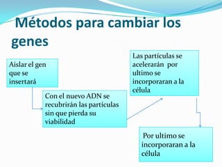 Métodos para cambiar los
genes
Aislar el gen
que se
insertará

Con el nuevo ADN se
recubrirán las partículas
sin que pierda su
viabilidad

Las partículas se
acelerarán por
ultimo se
incorporaran a la
célula

Por ultimo se
incorporaran a la
célula

 