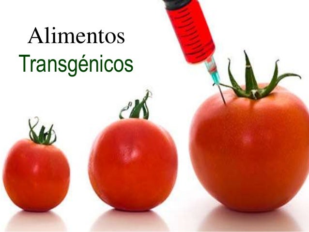 alimentos transgenicos alimentos transg 233 nicos alimentos transgenicos alimentos transg 233 nicos