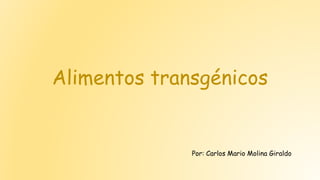Alimentos transgénicos
Por: Carlos Mario Molina Giraldo
 