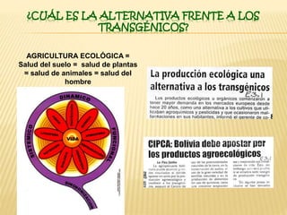 ¿CUÁL ES LA ALTERNATIVA FRENTE A LOS
TRANSGÉNICOS?
AGRICULTURA ECOLÓGICA =
Salud del suelo = salud de plantas
= salud de animales = salud del
hombre
 