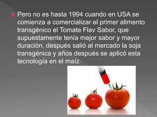  Pero no es hasta 1994 cuando en USA se
comienza a comercializar el primer alimento
transgénico el Tomate Flav Sabor, que
supuestamente tenía mejor sabor y mayor
duración, después salió al mercado la soja
transgénica y años después se aplicó esta
tecnología en el maíz
 
