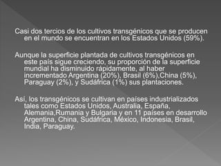 Casi dos tercios de los cultivos transgénicos que se producen
en el mundo se encuentran en los Estados Unidos (59%).
Aunque la superficie plantada de cultivos transgénicos en
este país sigue creciendo, su proporción de la superficie
mundial ha disminuido rápidamente, al haber
incrementado Argentina (20%), Brasil (6%),China (5%),
Paraguay (2%), y Sudáfrica (1%) sus plantaciones.
Así, los transgénicos se cultivan en países industrializados
tales como Estados Unidos, Australia, España,
Alemania,Rumania y Bulgaria y en 11 países en desarrollo
Argentina, China, Sudáfrica, México, Indonesia, Brasil,
India, Paraguay.
 