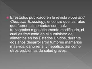  El estudio, publicado en la revista Food and
Chemical Toxicology, encontró que las ratas
que fueron alimentadas con maíz
transgénico o genéticamente modificado, el
cual es frecuente en el suministro de
alimentos en los Estados Unidos, durante
dos años desarrollaron tumores mamarios
masivos, daño renal y hepático, así como
otros problemas de salud graves.
 