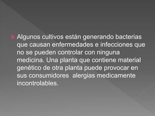  Algunos cultivos están generando bacterias
que causan enfermedades e infecciones que
no se pueden controlar con ninguna
medicina. Una planta que contiene material
genético de otra planta puede provocar en
sus consumidores alergias medicamente
incontrolables.
 
