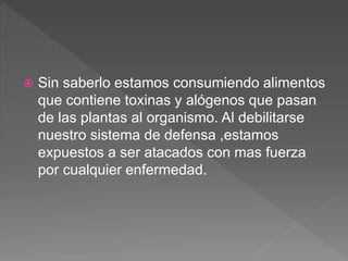  Sin saberlo estamos consumiendo alimentos
que contiene toxinas y alógenos que pasan
de las plantas al organismo. Al debilitarse
nuestro sistema de defensa ,estamos
expuestos a ser atacados con mas fuerza
por cualquier enfermedad.
 