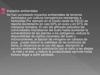 Impactos ambientales
Se han constatado impactos ambientales de terrenos
dominados por cultivos transgénicos resistentes a
herbicidas Por ejemplo en el medio oeste de EEUU se
reporta decremento en casi 60% en aves y en 81% de
mariposa monarca. El uso del glifosato perjudica las
comunidades microbianas del suelo hasta aumentar la
vulnerabilidad de las plantas a los patógenos, reduce la
disponibilidad de ciertos minerales del suelo y
micronutrientes, la fijación de nitrógeno en campos de
soya , puede reducir la viabilidad de las lombrices de
tierra, la eficiencia en el uso del agua, afectación al
servicio ambiental de polinización por el daño a las abejas
, la miel y al aire, y reducir la productividad agrícola hasta
incluso llegar a sufrir pérdidas.
 
